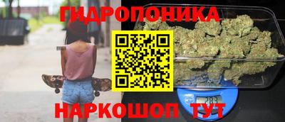 прущие грибы Азнакаево