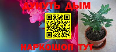 прущие грибы Азнакаево