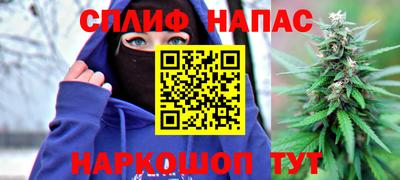 прущие грибы Азнакаево