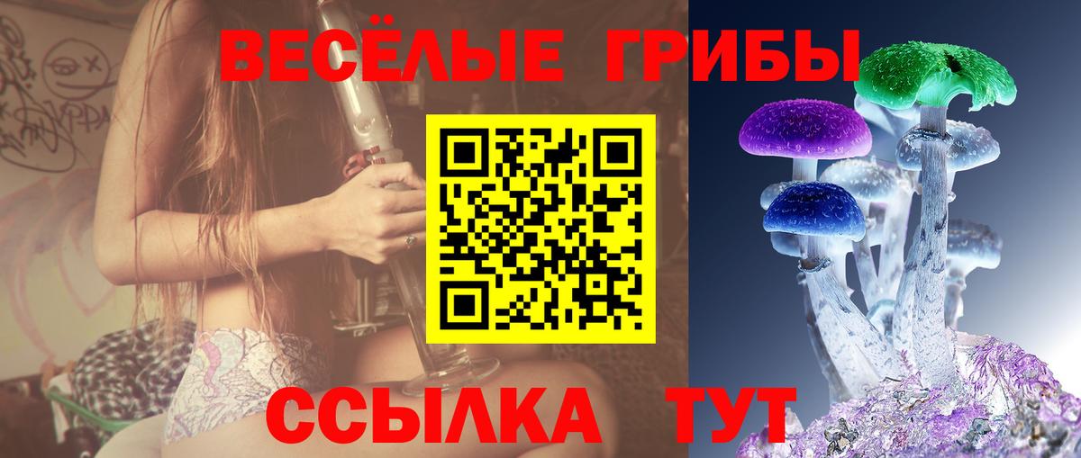 Псилоцибиновые грибы мухоморы Алексин